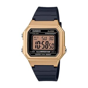 Reloj Unisex Vintage W-217HM-9AV