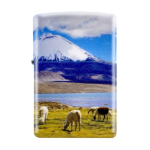 Encendedor Zippo Alpaca design ZP49352CI424673
