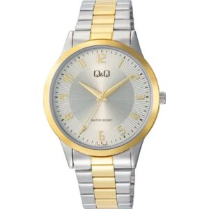 Reloj Q&Q Hombre C10A-063